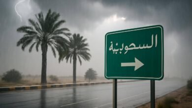 صورة توضيحية حول أمطار رعدية السعودية