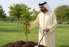 صورة توضيحية حول الإمارات صانعة أمل