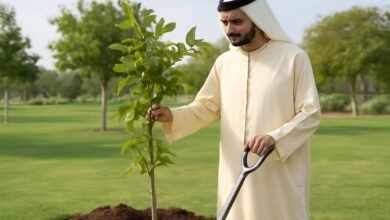 صورة توضيحية حول الإمارات صانعة أمل