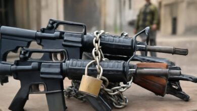 صورة توضيحية حول تنظيم السلاح في العراق