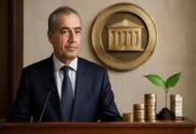 صورة توضيحية حول مبادرات البنك المركزي للاستثمار